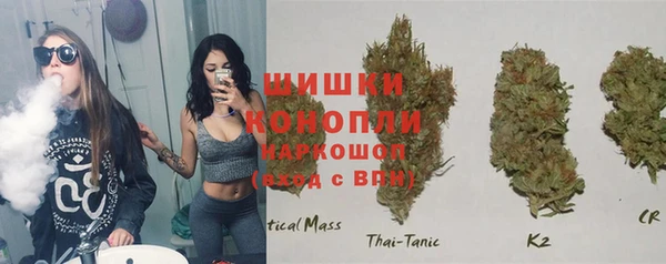 первитин Богородицк