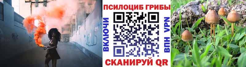 KRAKEN ССЫЛКА  Белорецк  Псилоцибиновые грибы Cubensis  купить  